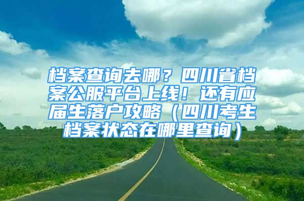 檔案查詢?nèi)ツ模克拇ㄊn案公服平臺(tái)上線！還有應(yīng)屆生落戶攻略（四川考生檔案狀態(tài)在哪里查詢）