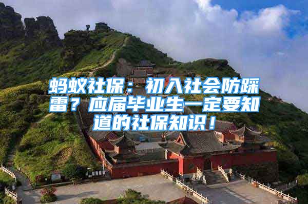 螞蟻社保：初入社會防踩雷？應(yīng)屆畢業(yè)生一定要知道的社保知識！