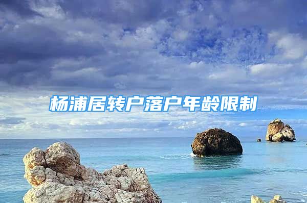 楊浦居轉(zhuǎn)戶落戶年齡限制