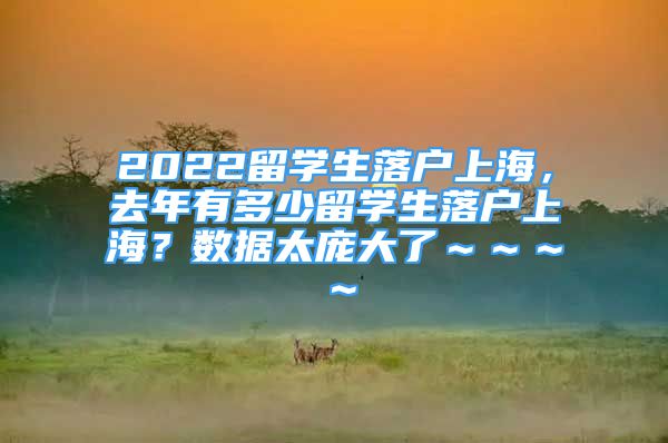 2022留學生落戶上海，去年有多少留學生落戶上海？數(shù)據(jù)太龐大了～～～～