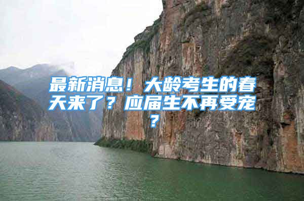 最新消息！大齡考生的春天來了？應(yīng)屆生不再受寵？