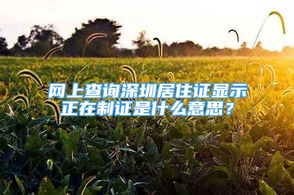 網(wǎng)上查詢深圳居住證顯示正在制證是什么意思？