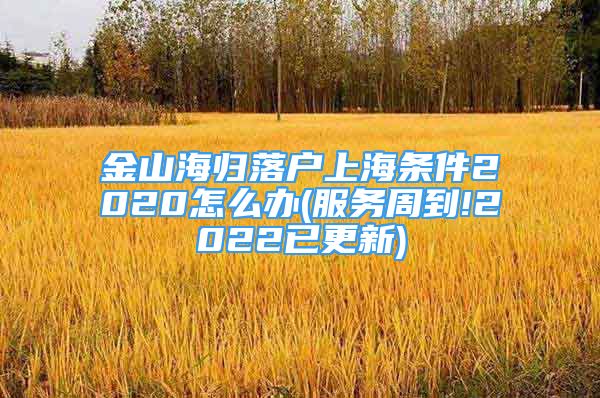 金山海歸落戶上海條件2020怎么辦(服務(wù)周到!2022已更新)