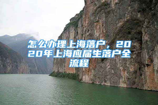 怎么辦理上海落戶，2020年上海應(yīng)屆生落戶全流程