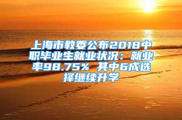 上海市教委公布2018中職畢業(yè)生就業(yè)狀況：就業(yè)率98.75% 其中6成選擇繼續(xù)升學(xué)