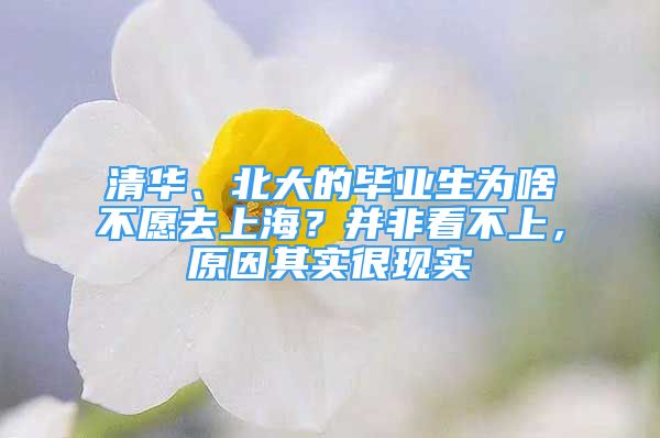 清華、北大的畢業(yè)生為啥不愿去上海？并非看不上，原因其實很現(xiàn)實