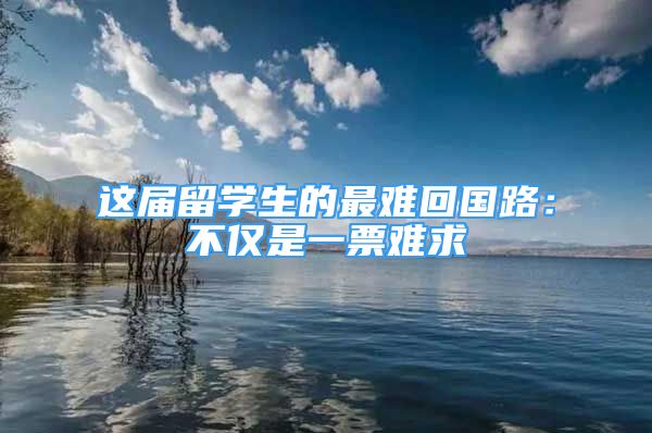 這屆留學生的最難回國路：不僅是一票難求