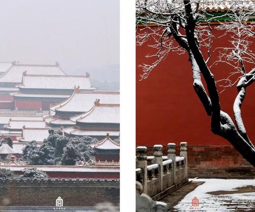 重磅！國內(nèi)突然傳來好消息！這些留學(xué)生可直接落戶上海！澳洲多所大學(xué)上榜！