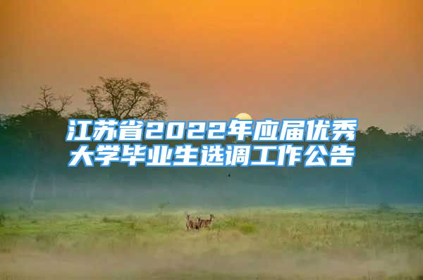 江蘇省2022年應(yīng)屆優(yōu)秀大學(xué)畢業(yè)生選調(diào)工作公告