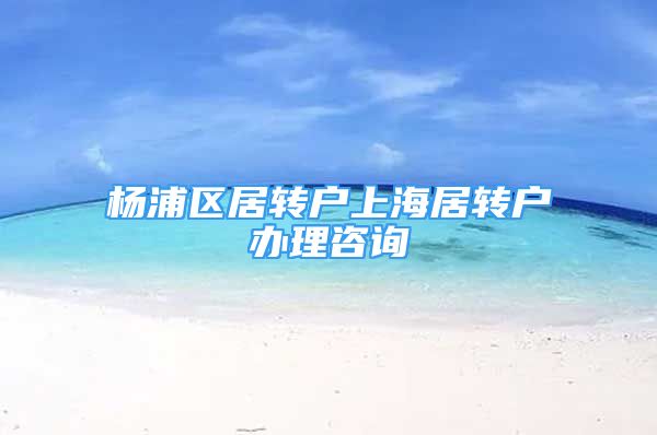 楊浦區(qū)居轉(zhuǎn)戶上海居轉(zhuǎn)戶辦理咨詢