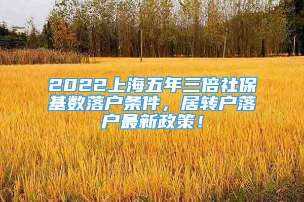 2022上海五年三倍社?；鶖?shù)落戶條件，居轉(zhuǎn)戶落戶最新政策！