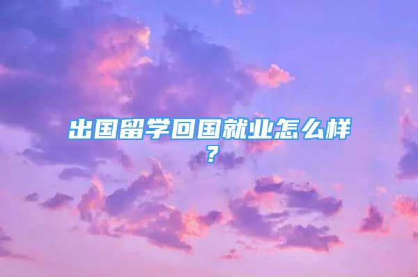 出國(guó)留學(xué)回國(guó)就業(yè)怎么樣？