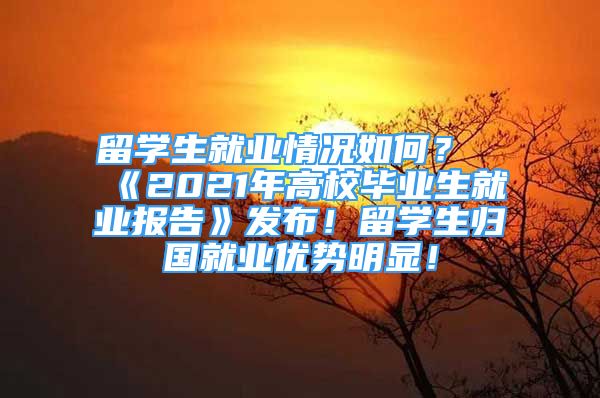 留學(xué)生就業(yè)情況如何？《2021年高校畢業(yè)生就業(yè)報(bào)告》發(fā)布！留學(xué)生歸國就業(yè)優(yōu)勢明顯！