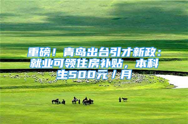 重磅！青島出臺引才新政：就業(yè)可領住房補貼，本科生500元／月