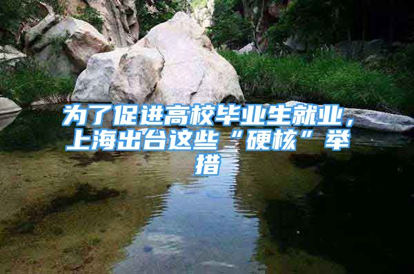 為了促進(jìn)高校畢業(yè)生就業(yè)，上海出臺(tái)這些“硬核”舉措