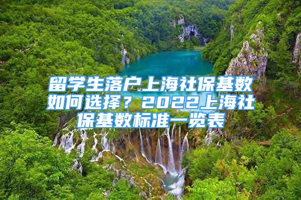 留學(xué)生落戶上海社?；鶖?shù)如何選擇？2022上海社?；鶖?shù)標(biāo)準(zhǔn)一覽表