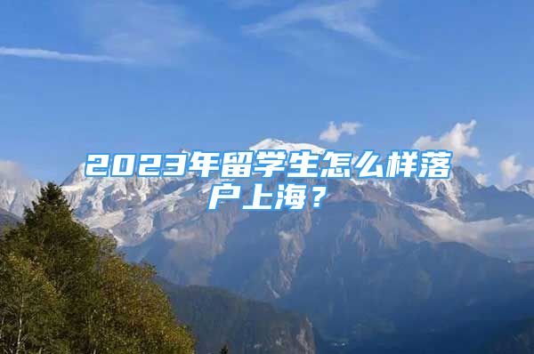 2023年留學(xué)生怎么樣落戶上海？