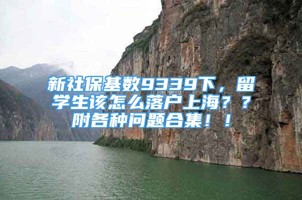 新社保基數(shù)9339下，留學(xué)生該怎么落戶上海？？附各種問題合集??！