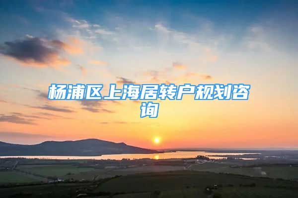 楊浦區(qū)上海居轉(zhuǎn)戶規(guī)劃咨詢