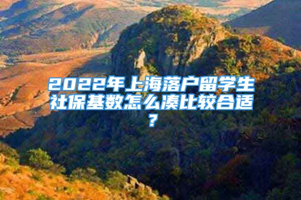 2022年上海落戶(hù)留學(xué)生社?；鶖?shù)怎么湊比較合適？