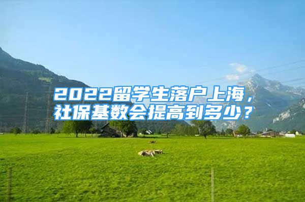 2022留學(xué)生落戶上海，社保基數(shù)會提高到多少？