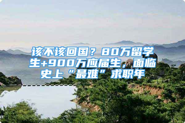 該不該回國？80萬留學(xué)生+900萬應(yīng)屆生，面臨史上“最難”求職年