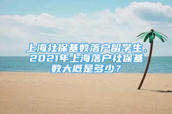 上海社?；鶖?shù)落戶留學(xué)生，2021年上海落戶社?；鶖?shù)大概是多少？