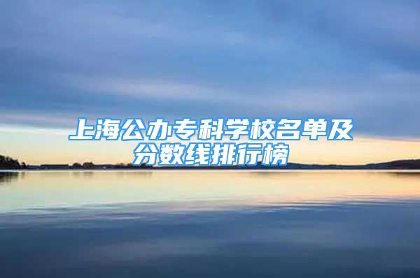 上海公辦專科學校名單及分數(shù)線排行榜