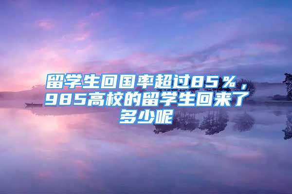 留學(xué)生回國(guó)率超過(guò)85％，985高校的留學(xué)生回來(lái)了多少呢