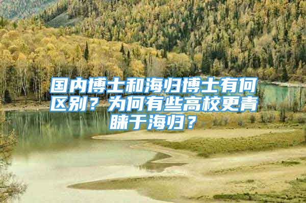 國(guó)內(nèi)博士和海歸博士有何區(qū)別？為何有些高校更青睞于海歸？