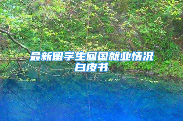 最新留學生回國就業(yè)情況白皮書