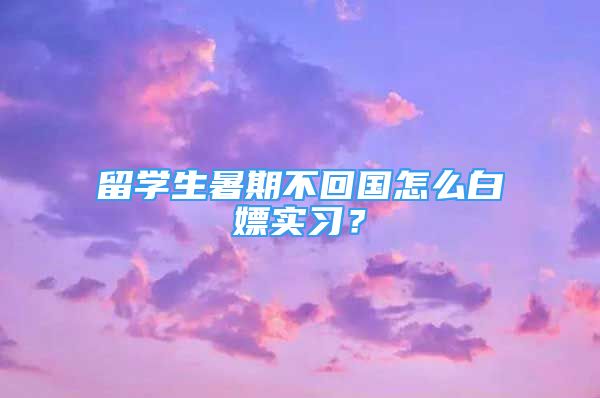 留學(xué)生暑期不回國怎么白嫖實習(xí)？