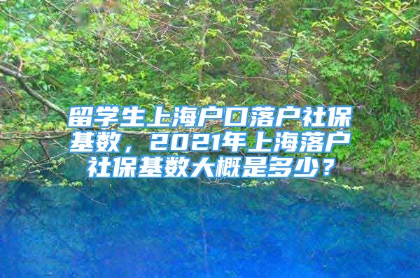 留學(xué)生上海戶口落戶社?；鶖?shù)，2021年上海落戶社保基數(shù)大概是多少？