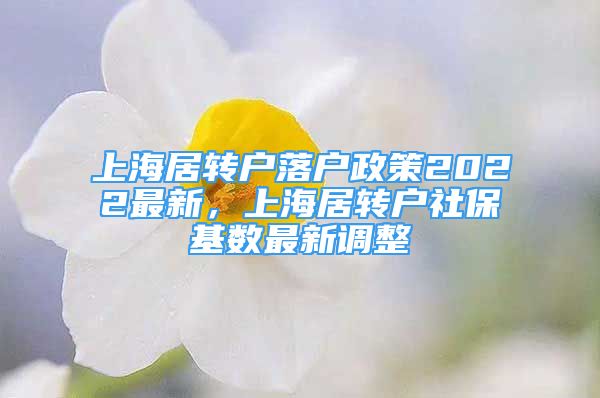 上海居轉(zhuǎn)戶落戶政策2022最新，上海居轉(zhuǎn)戶社?；鶖?shù)最新調(diào)整