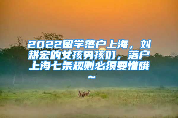 2022留學落戶上海，劉耕宏的女孩男孩們，落戶上海七條規(guī)則必須要懂哦～