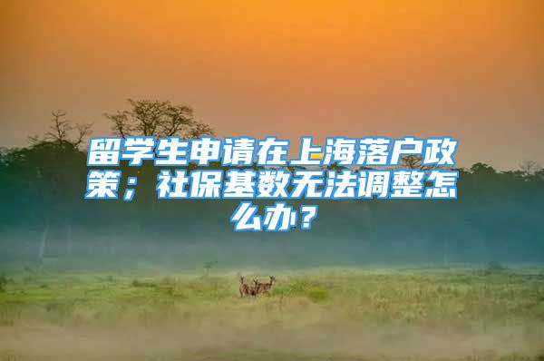 留學(xué)生申請在上海落戶政策；社?；鶖?shù)無法調(diào)整怎么辦？