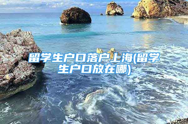 留學生戶口落戶上海(留學生戶口放在哪)