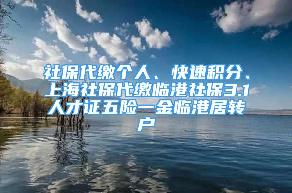 社保代繳個(gè)人、快速積分、上海社保代繳臨港社保3.1人才證五險(xiǎn)一金臨港居轉(zhuǎn)戶(hù)