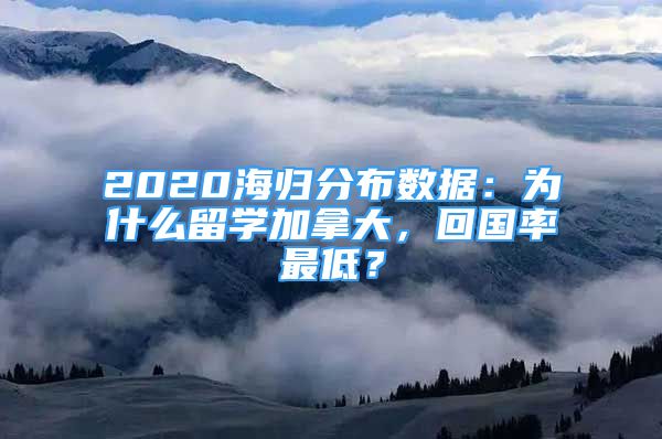 2020海歸分布數(shù)據(jù)：為什么留學(xué)加拿大，回國(guó)率最低？