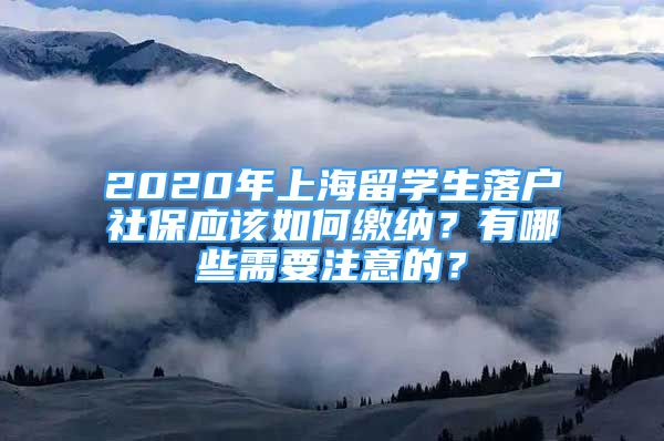 2020年上海留學(xué)生落戶社保應(yīng)該如何繳納？有哪些需要注意的？