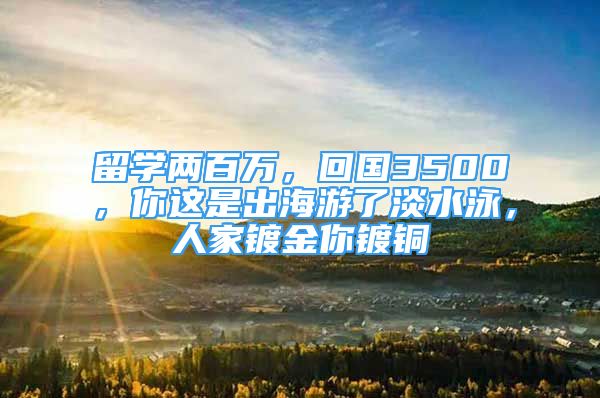 留學(xué)兩百萬，回國3500，你這是出海游了淡水泳，人家鍍金你鍍銅