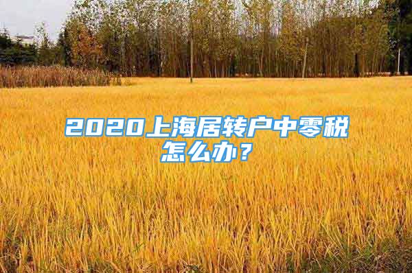 2020上海居轉(zhuǎn)戶中零稅怎么辦？