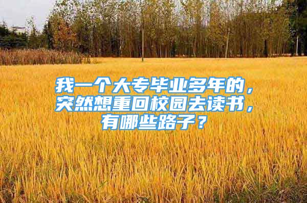 我一個大專畢業(yè)多年的，突然想重回校園去讀書，有哪些路子？