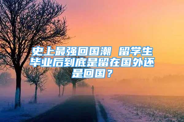 史上最強(qiáng)回國潮 留學(xué)生畢業(yè)后到底是留在國外還是回國？