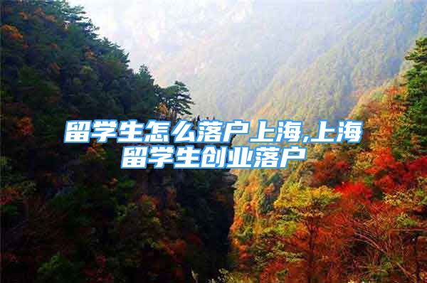 留學(xué)生怎么落戶上海,上海留學(xué)生創(chuàng)業(yè)落戶