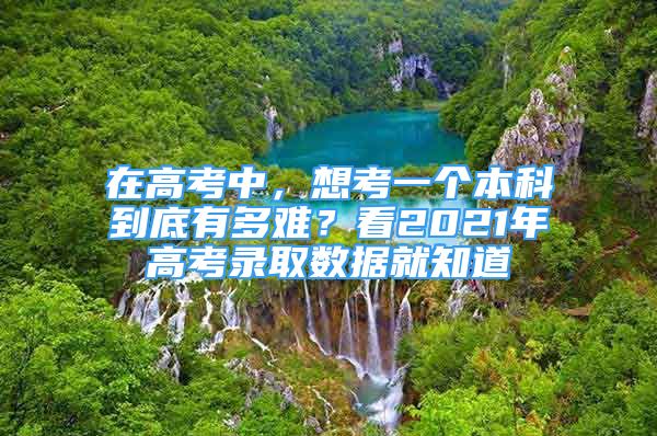 在高考中，想考一個(gè)本科到底有多難？看2021年高考錄取數(shù)據(jù)就知道