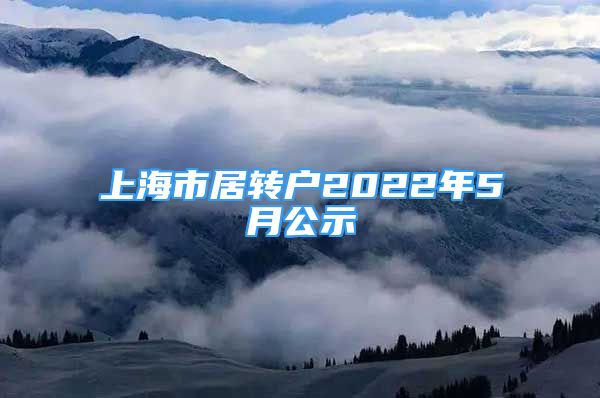 上海市居轉(zhuǎn)戶2022年5月公示