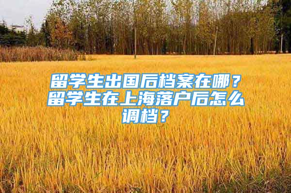 留學(xué)生出國后檔案在哪？留學(xué)生在上海落戶后怎么調(diào)檔？