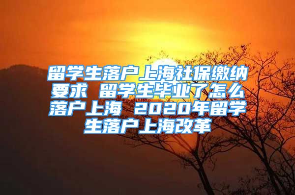 留學(xué)生落戶上海社保繳納要求 留學(xué)生畢業(yè)了怎么落戶上海 2020年留學(xué)生落戶上海改革