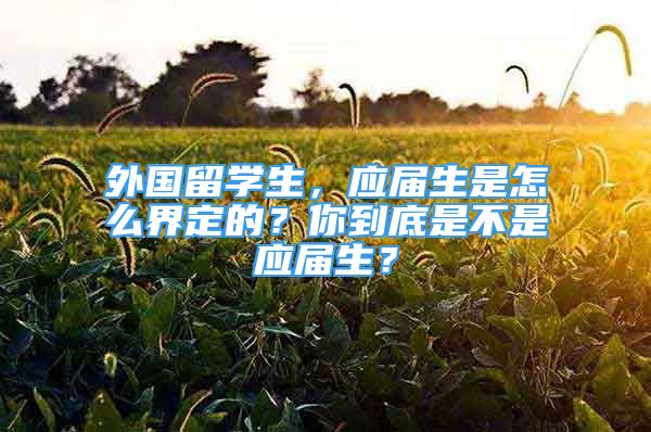 外國留學生，應屆生是怎么界定的？你到底是不是應屆生？